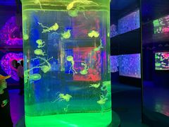 -左海海底世界