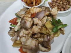 -港升鱼师傅·中山脆肉鲩