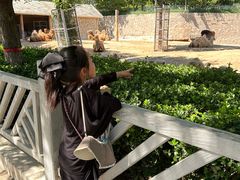 -石家庄市动物园