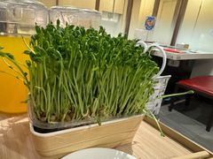 -海底捞大排档火锅(打浦路店)