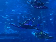 -南昌融创海世界