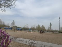 -北京群众马术培训基地