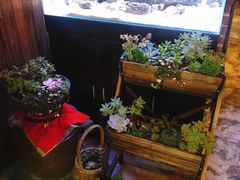 -臻味私厨(国际社区店)