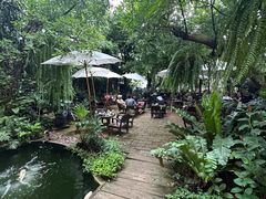 -Fern Forest Cafe