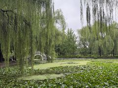 -洛阳市隋唐城遗址植物园