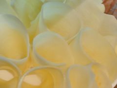 -蜀大侠火锅(春熙路店)