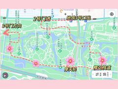 -顾村公园