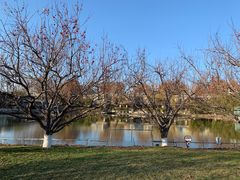 -春晖园度假酒店温泉