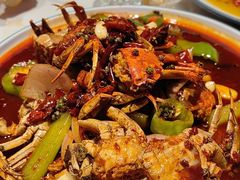 -杨氏青龙虾·羊蝎子(托乐嘉店)