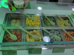 -Salud撒露欧洲冻酸奶(五道口购物中心店)