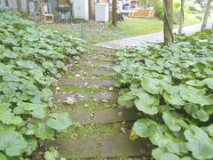 -中国天府农业博览园