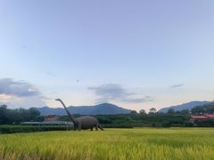 -福建土楼（华安）旅游区•大地土楼群