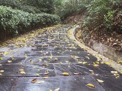 -南京市江宁方山