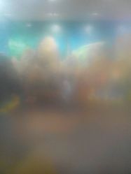 android_upload_pic-meland亲子乐园·派对·研学(淄博万象汇店)