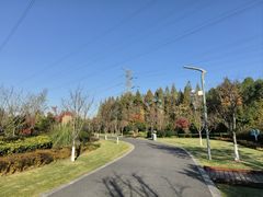 -昆山城市生态森林公园