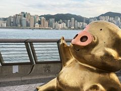 -星光大道