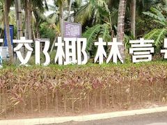 -东郊椰林