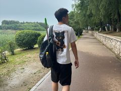 -丁香湖公园