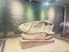 -自贡恐龙博物馆