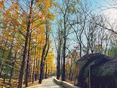 -白水寺森林公园