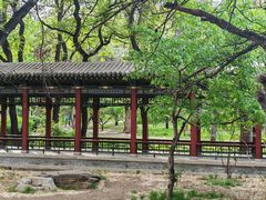 -晋祠公园