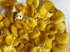 -朴小妹人参鸡汤火锅(长白山万达店)