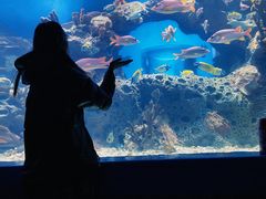 -多彩贵州城极地海洋世界