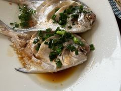 -魚當家