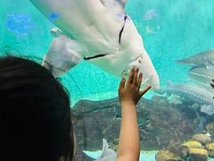 -太平洋海底世界