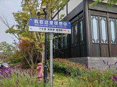 -恩阳古镇