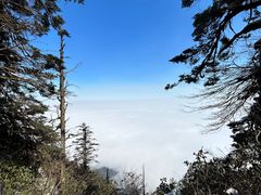 -瓦屋山景区