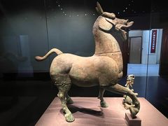 -广西壮族自治区博物馆