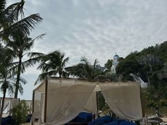 -精酿农场Brew Farm·沙漠绿洲餐厅