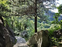 -秦岭终南山世界地质公园翠华山景区