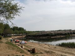 -丁香湖公园