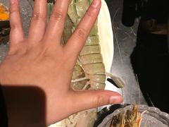 -半岛翡丽海鲜自助餐厅(观风亭店)