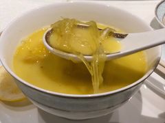 花胶鸡锅底-上房火鍋(新天地店)