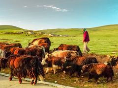 -青海湖国家重点风景名胜区