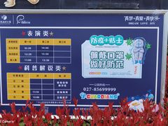 -海合安武汉极地海洋公园