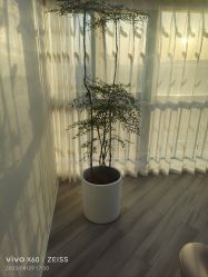 -HEYAN荷妍专业脱毛连锁机构