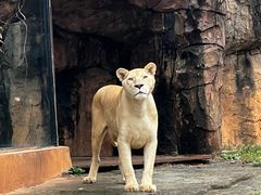 -杭州野生动物世界