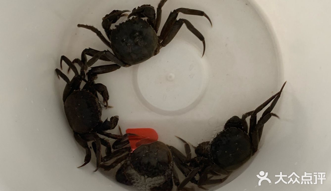 超级无敌鲜的六月黄面拖蟹