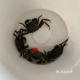 超级无敌鲜的六月黄面拖蟹