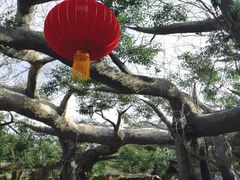 -鞍山岫岩沟汤温泉