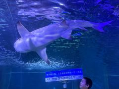 -常州海昌海洋探索馆