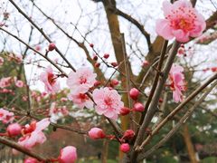 -白塘生态植物园