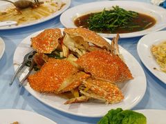 -ZF Seafood Restaurant 卓峰海鲜餐
