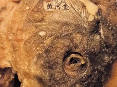 -阿五黄河大鲤鱼(英协路店)