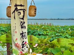 -七的湖·晚芳亭·阳澄湖农家菜·大闸蟹(莲花岛店)