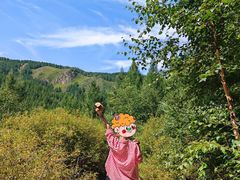 -苏木山森林公园